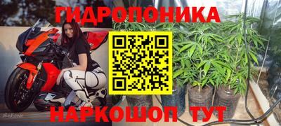 стаф Канаш